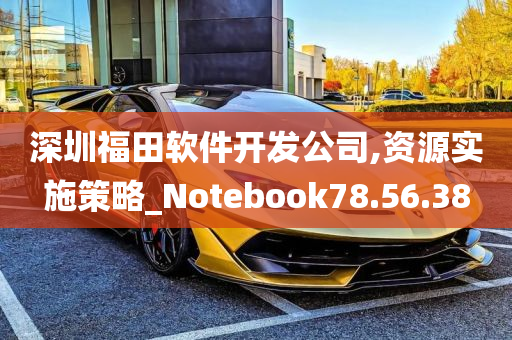 深圳福田软件开发公司,资源实施策略_Notebook78.56.38