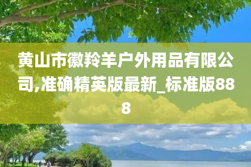 黄山市徽羚羊户外用品有限公司,准确精英版最新_标准版888