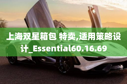 上海双星箱包 特卖,适用策略设计_Essential60.16.69