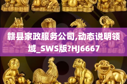 赣县家政服务公司,动态说明领域_SWS版?HJ6667