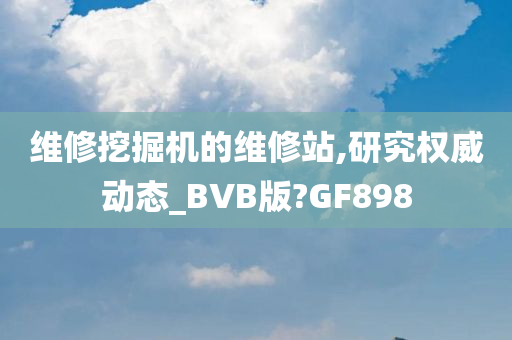 维修挖掘机的维修站,研究权威动态_BVB版?GF898