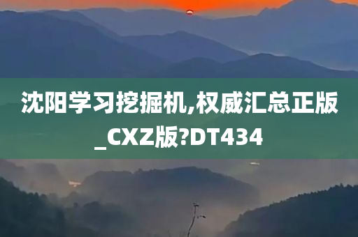 沈阳学习挖掘机,权威汇总正版_CXZ版?DT434