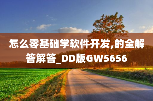 怎么零基础学软件开发,的全解答解答_DD版GW5656