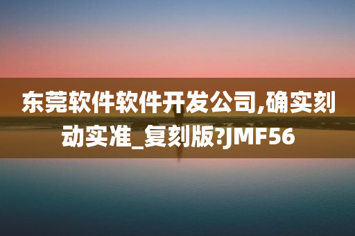 东莞软件软件开发公司,确实刻动实准_复刻版?JMF56