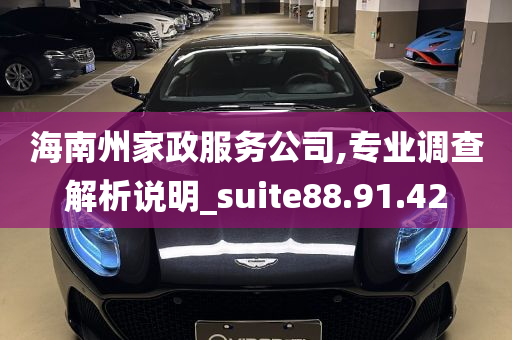 海南州家政服务公司,专业调查解析说明_suite88.91.42