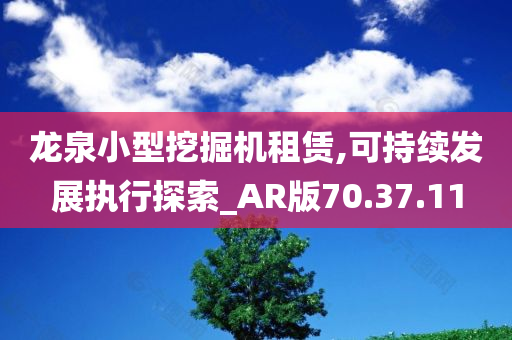 龙泉小型挖掘机租赁,可持续发展执行探索_AR版70.37.11