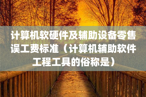 计算机软硬件及辅助设备零售误工费标准（计算机辅助软件工程工具的俗称是）