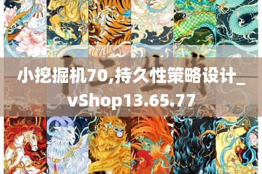 小挖掘机70,持久性策略设计_vShop13.65.77