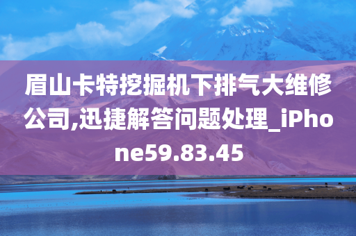 眉山卡特挖掘机下排气大维修公司,迅捷解答问题处理_iPhone59.83.45