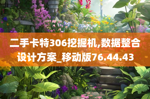 二手卡特306挖掘机,数据整合设计方案_移动版76.44.43