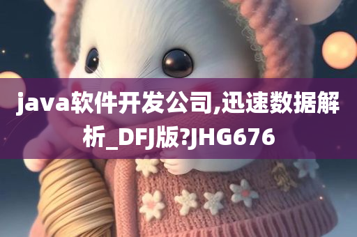 java软件开发公司,迅速数据解析_DFJ版?JHG676