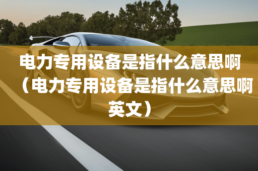 电力专用设备是指什么意思啊（电力专用设备是指什么意思啊英文）