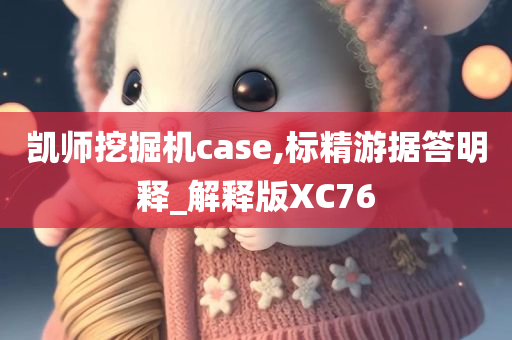 凯师挖掘机case,标精游据答明释_解释版XC76