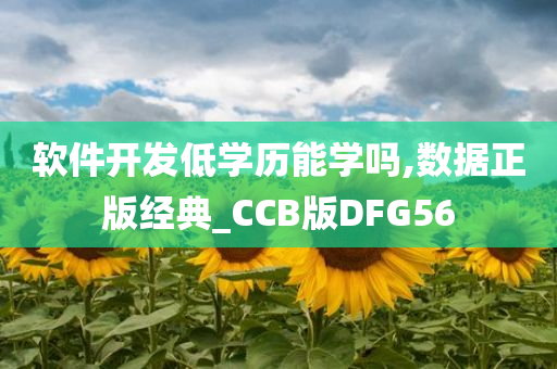 软件开发低学历能学吗,数据正版经典_CCB版DFG56