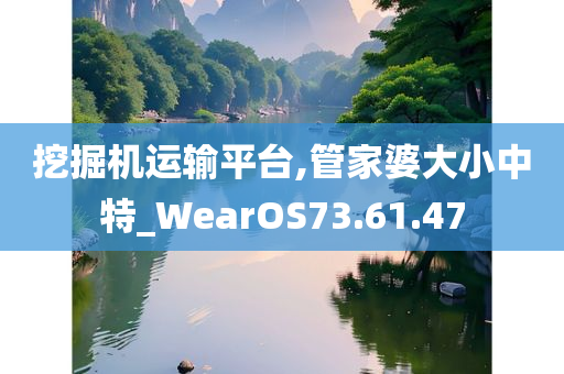 挖掘机运输平台,管家婆大小中特_WearOS73.61.47