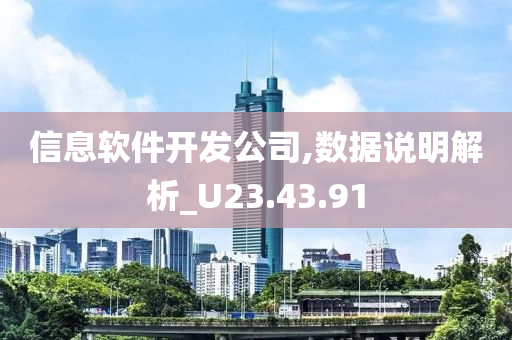 信息软件开发公司,数据说明解析_U23.43.91