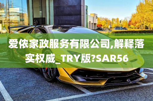 爱侬家政服务有限公司,解释落实权威_TRY版?SAR56