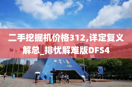 二手挖掘机价格312,详定复义解总_排忧解难版DFS4