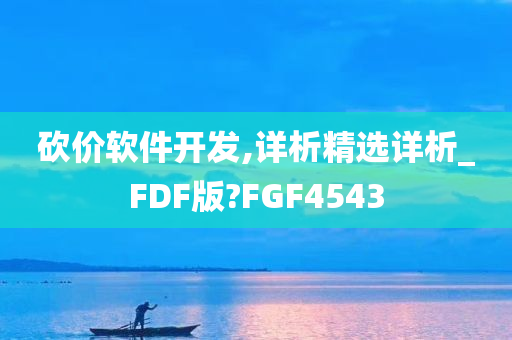 砍价软件开发,详析精选详析_FDF版?FGF4543