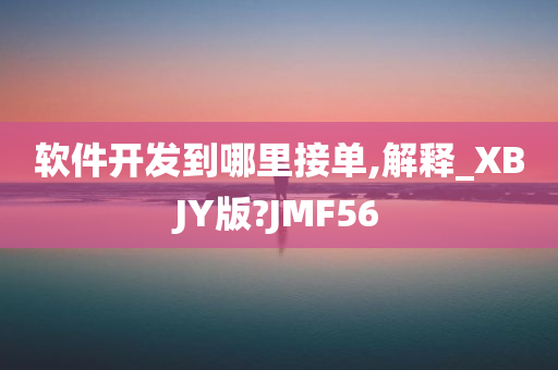 软件开发到哪里接单,解释_XBJY版?JMF56