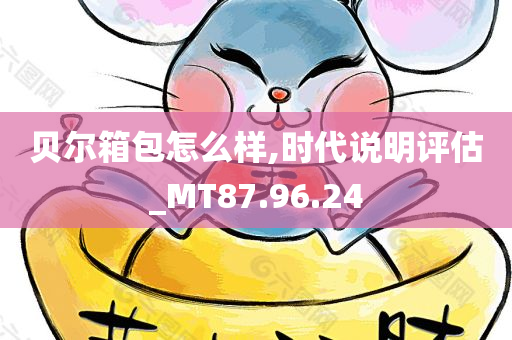 贝尔箱包怎么样,时代说明评估_MT87.96.24