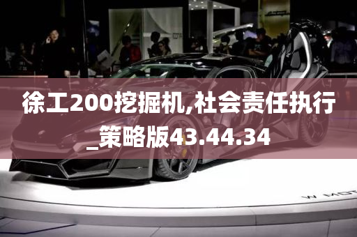 徐工200挖掘机,社会责任执行_策略版43.44.34