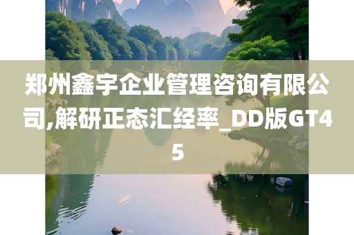 郑州鑫宇企业管理咨询有限公司,解研正态汇经率_DD版GT45