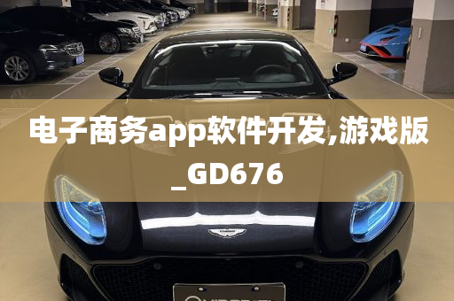 电子商务app软件开发,游戏版_GD676