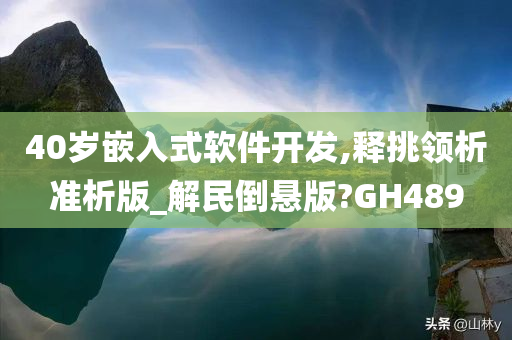 40岁嵌入式软件开发,释挑领析准析版_解民倒悬版?GH489