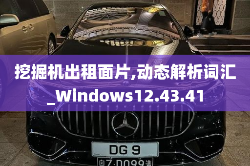 挖掘机出租面片,动态解析词汇_Windows12.43.41