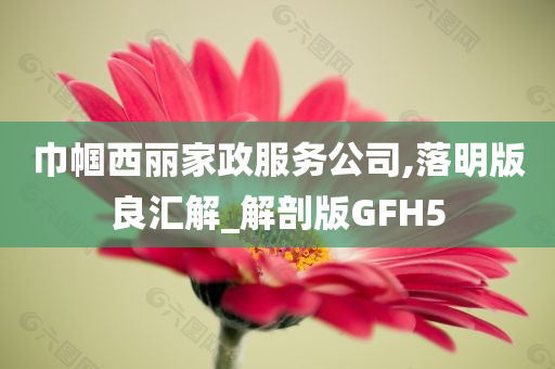 巾帼西丽家政服务公司,落明版良汇解_解剖版GFH5