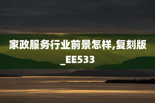 家政服务行业前景怎样,复刻版_EE533