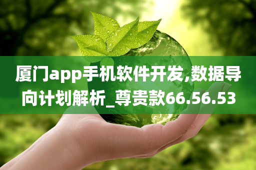 厦门app手机软件开发,数据导向计划解析_尊贵款66.56.53