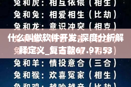 什么叫做软件开发,深度分析解释定义_复古款67.97.53