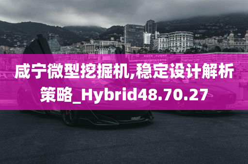 咸宁微型挖掘机,稳定设计解析策略_Hybrid48.70.27