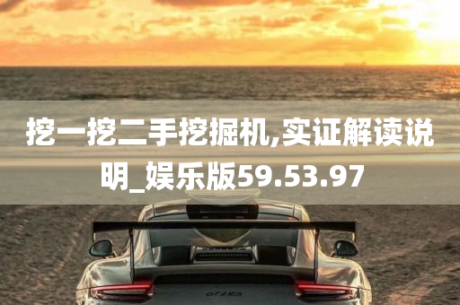 挖一挖二手挖掘机,实证解读说明_娱乐版59.53.97