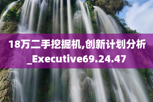 18万二手挖掘机,创新计划分析_Executive69.24.47