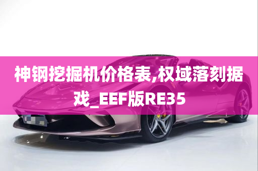 神钢挖掘机价格表,权域落刻据戏_EEF版RE35