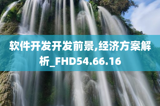 软件开发开发前景,经济方案解析_FHD54.66.16