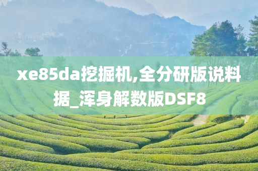 xe85da挖掘机,全分研版说料据_浑身解数版DSF8