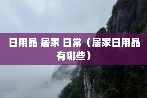 日用品 居家 日常（居家日用品有哪些）
