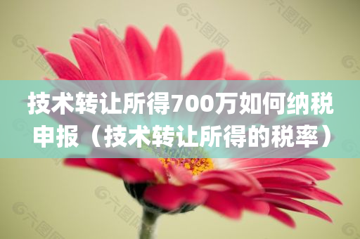 技术转让所得700万如何纳税申报（技术转让所得的税率）