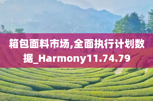 箱包面料市场,全面执行计划数据_Harmony11.74.79