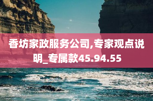 香坊家政服务公司,专家观点说明_专属款45.94.55