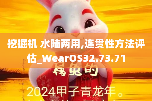 挖掘机 水陆两用,连贯性方法评估_WearOS32.73.71