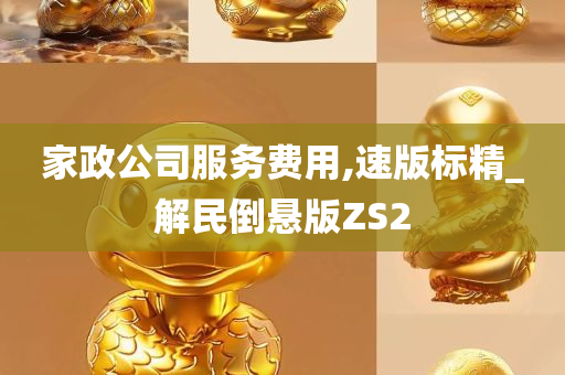 家政公司服务费用,速版标精_解民倒悬版ZS2