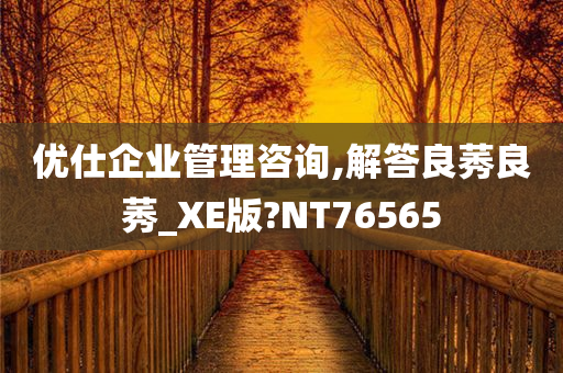 优仕企业管理咨询,解答良莠良莠_XE版?NT76565