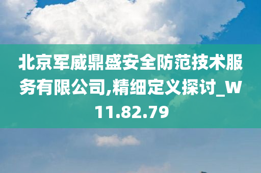 北京军威鼎盛安全防范技术服务有限公司,精细定义探讨_W11.82.79