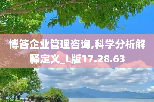 博答企业管理咨询,科学分析解释定义_L版17.28.63