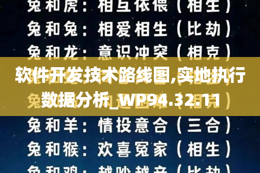 软件开发技术路线图,实地执行数据分析_WP94.32.11